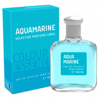 Colour Essences Туалетная вода мужская Aquamarine 100мл